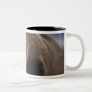 Tasse 2 Couleurs Ours brun, grizzly, faisant une sieste, Katmai
