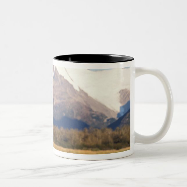 Tasse 2 Couleurs ours brun, Ursus arctos, grizzli, Ursus (Droit)
