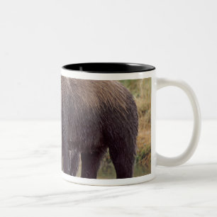 Tasse 2 Couleurs ours brun, Ursus arctos, grizzly, Ursus 3