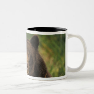 Tasse 2 Couleurs ours brun, Ursus arctos, grizzly, Ursus 9