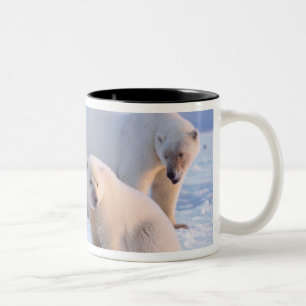 Tasse 2 Couleurs Ours polaire femelle avec des oursons sur la banqu