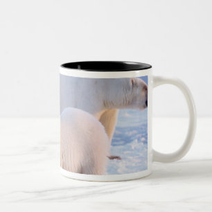 Tasse 2 Couleurs Ours polaire femelle avec des oursons sur la banqu