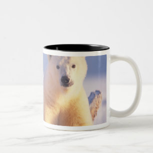 Tasse 2 Couleurs Ours polaire semé avec un petit sur la glace de me