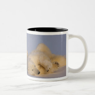 Tasse 2 Couleurs ours polaire, Ursus maritimus, femelle jouant