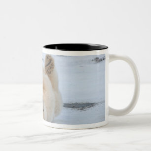 Tasse 2 Couleurs ours polaire, Ursus maritimus, ourson roulant 3