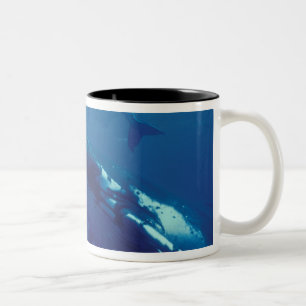 Tasse 2 Couleurs Pacifique Sud, Tonga. baleine à bosse et baleineau