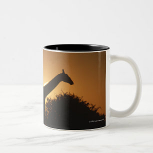 Tasse 2 Couleurs Paires de girafe (camelopardalis de Giraffa)