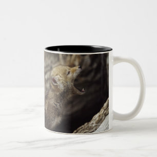 Tasse 2 Couleurs Paires de jeunes chiots de coyote hurlant