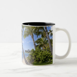 Tasse 2 Couleurs Palmiers sur la plage en Hawaï