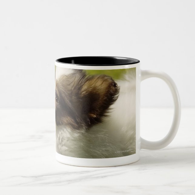 Tasse 2 Couleurs Papillon 2 (Droit)