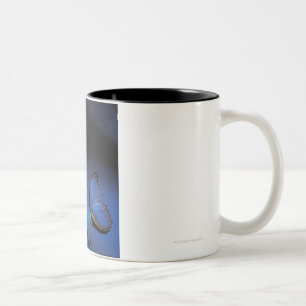 Tasse 2 Couleurs Papillon bleu