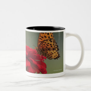 Tasse 2 Couleurs Papillon de fritillaire (hyperbius d'Argyreus) sur