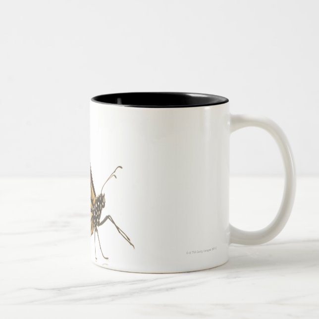 Tasse 2 Couleurs Papillon de monarque (Droit)