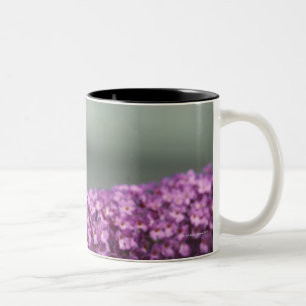 Tasse 2 Couleurs Papillon de paon sur la fleur