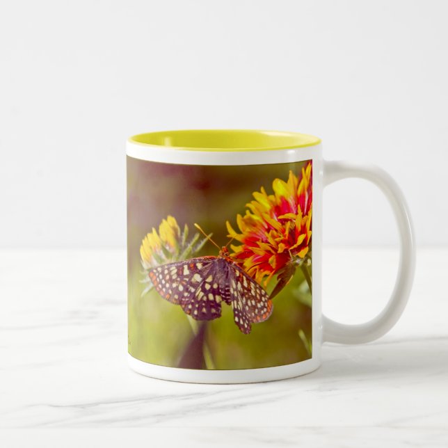 Tasse 2 Couleurs Papillon et Gaillardia (Droit)