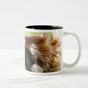 Tasse 2 Couleurs Papillon fonctionnant