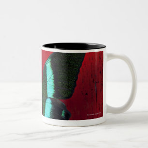 Tasse 2 Couleurs Papillon noir et bleu sur le mur rouge