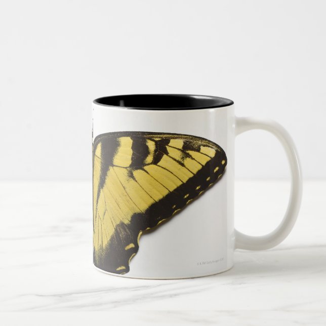 Tasse 2 Couleurs Papillon occidental de machaon de tigre (Droit)
