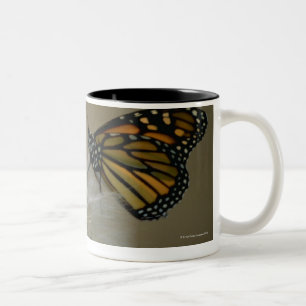 Tasse 2 Couleurs Papillon sur le pissenlit
