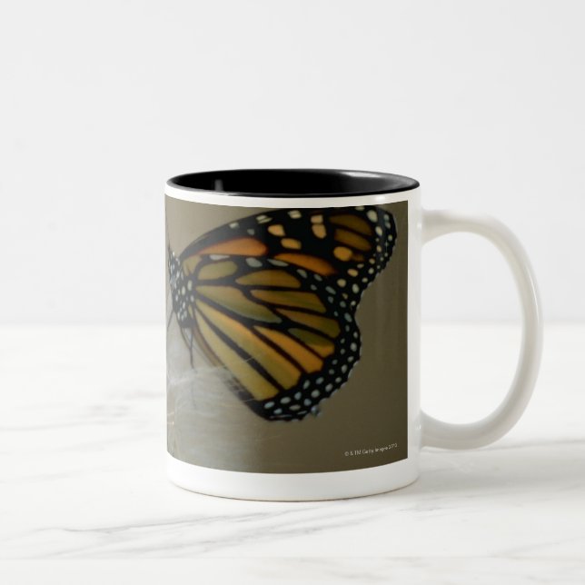 Tasse 2 Couleurs Papillon sur le pissenlit (Droit)