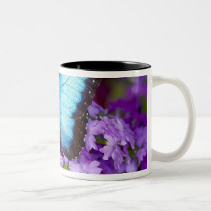 Tasse 2 Couleurs Papillon tropical de Sammamish Washington