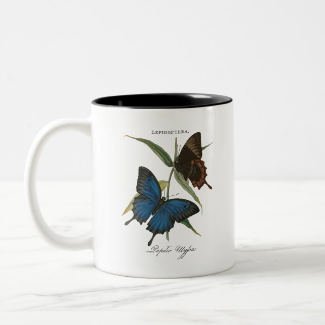 Tasse 2 Couleurs Papillon Ulysse (Gauche)