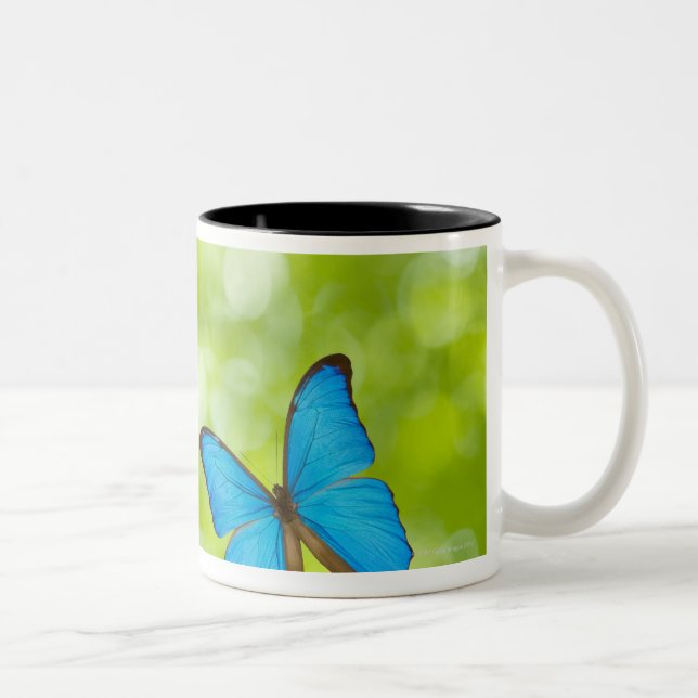 Tasse 2 Couleurs Papillons volant, composé de Digitals (Droit)