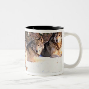 Tasse 2 Couleurs Paquet de loups en hiver