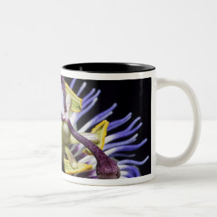 Tasse 2 Couleurs Passiflore en gros plan (MR)