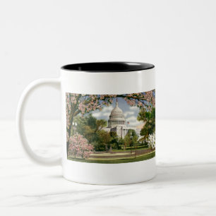 Tasse 2 Couleurs PAU46 USA Capitol.tif