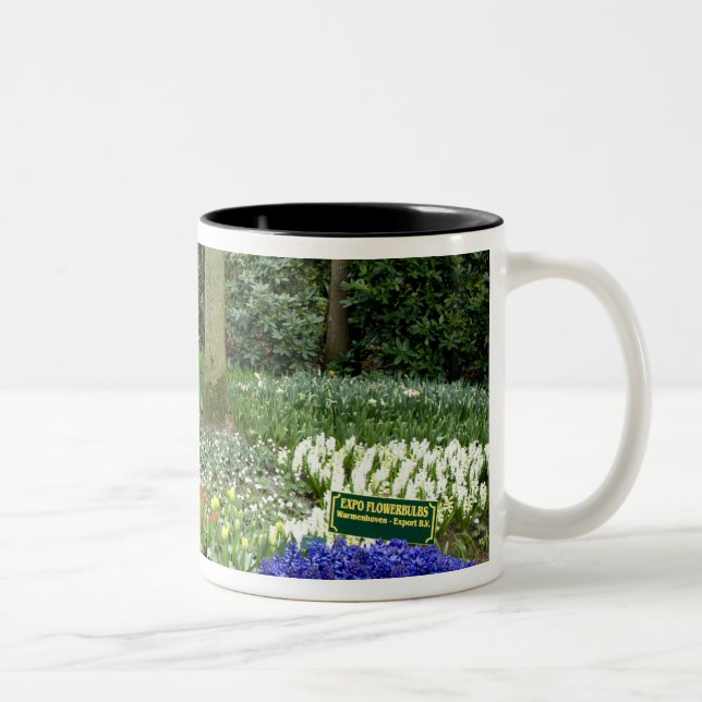 Tasse 2 Couleurs Pays-Bas aka Holland), Lisse. Keukenhof 11 (Droit)