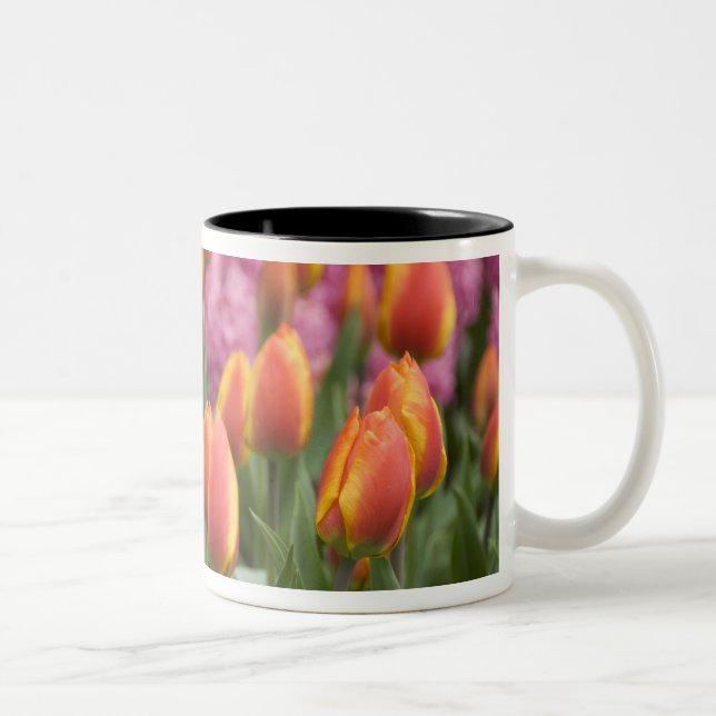 Tasse 2 Couleurs Pays-Bas (alias Holland), Lisse. Keukenhof (Droit)