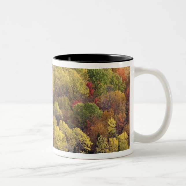 Tasse 2 Couleurs Paysage d'automne, Vermont, États-Unis 2 (Droit)