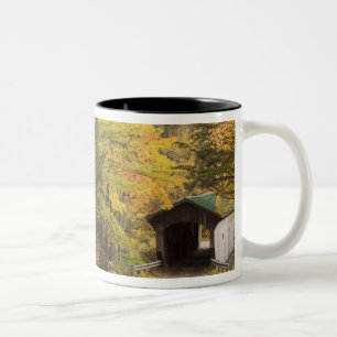 Tasse 2 Couleurs Paysage d'automne, Vermont, États-Unis 4