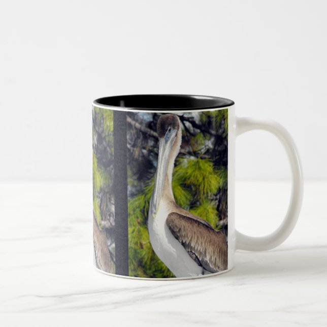 Tasse 2 Couleurs Pélican brun juvénile (Droit)