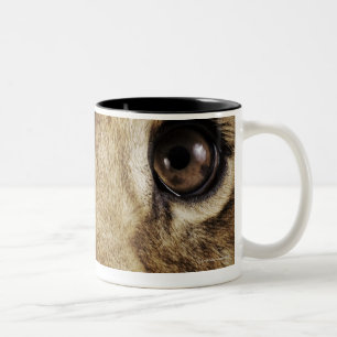 Tasse 2 Couleurs Petit animal de lion (Panthera Lion) léchant le
