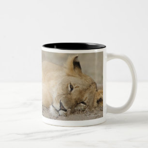 Tasse 2 Couleurs Petit animal de lion (Panthera Lion) se reposant,