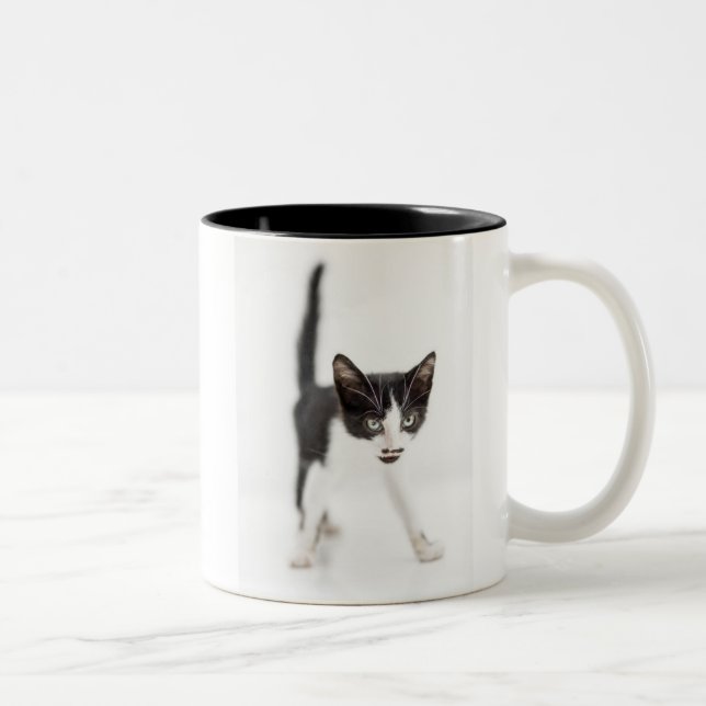 Tasse 2 Couleurs Petit chat (Droit)
