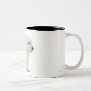 Tasse 2 Couleurs Petit lion de chien ou petit chiot de chien de