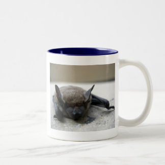 Tasse 2 Couleurs Petite chauve-souris brune (Myotis lucifugus)