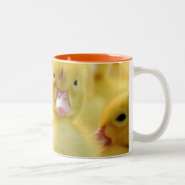 Tasse 2 Couleurs Petits canards (Droit)