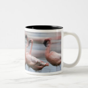 Tasse 2 Couleurs Petits Flamants en mouvement, Phoenicopterus