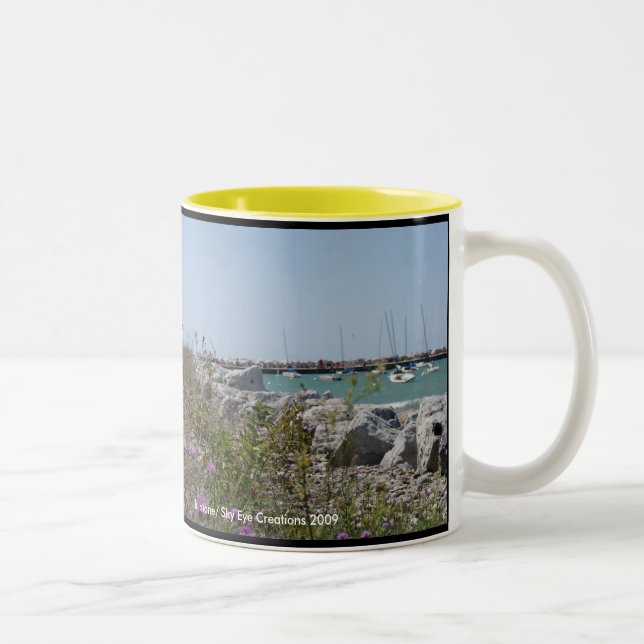 Tasse 2 Couleurs Petoskey Michigan (Droit)