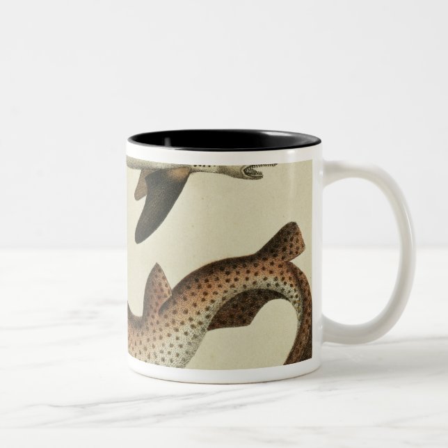 Tasse 2 Couleurs Peu chiens de mer repérés (Droit)