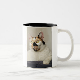 Tasse 2 Couleurs Photo de Best Cat Mom