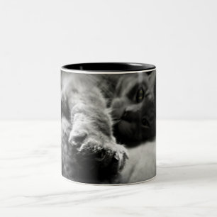 Tasse 2 Couleurs Photo de chat de Kitty