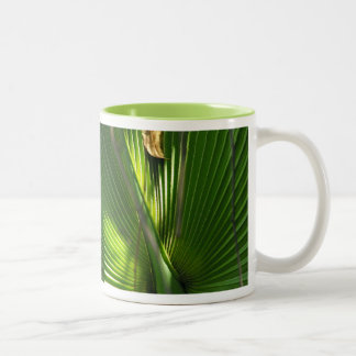 Tasse 2 Couleurs Photo de Palmier Nain de près