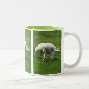 Tasse 2 Couleurs Photo rare de corbeau blanc dans la faune