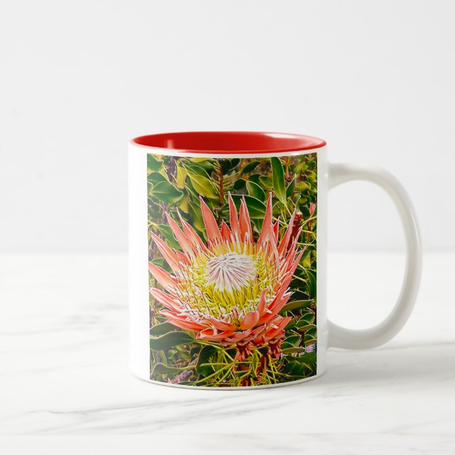 Tasse 2 Couleurs Photographie de fleurs australiennes de Protea (Droit)
