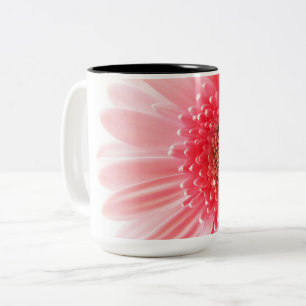 Tasse 2 Couleurs Photographie de gerbera rose frais
